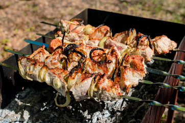 Cooking barbecue in nature.