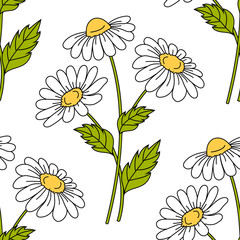Seamless pattern with daisy flowers