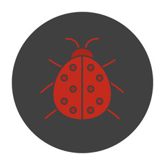 Ladybug glyph color icon