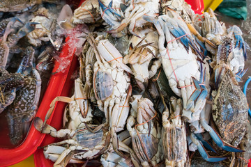 seafood market in thailand