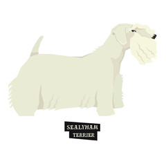 Dog collection Sealyham Terrier Geometric style Isolated object