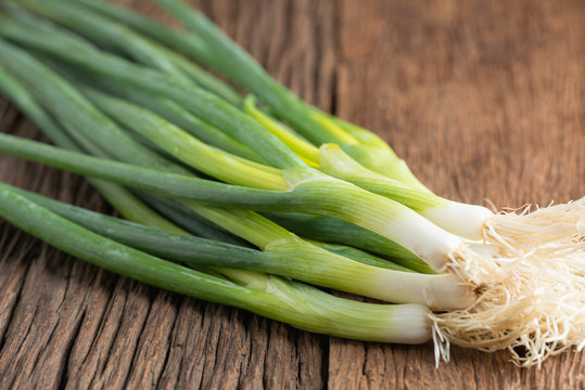 Spring onions on wood background.