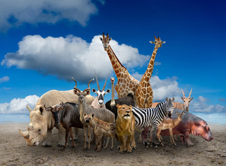 group of africa animals