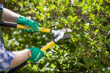 young gardener with a professional tools and equipment