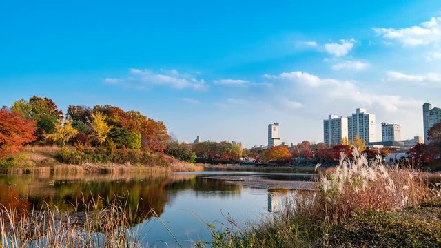 Seoul, South Korea - Seoul Olympic Park's Mongchon Lake's beautiful autumn scene is filmed in time-lapse.