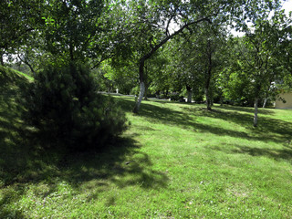 Beautifully landscaped garden