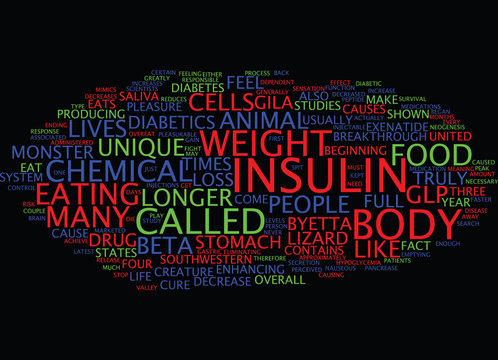 LIZARD SPIT AND WEIGHT LOSS Text Background Word Cloud Concept