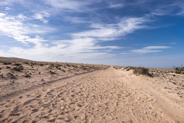 A dirt road in the sand desert