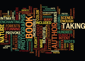 LETTER TO MAYA ANGELOU REVIEW Text Background Word Cloud Concept