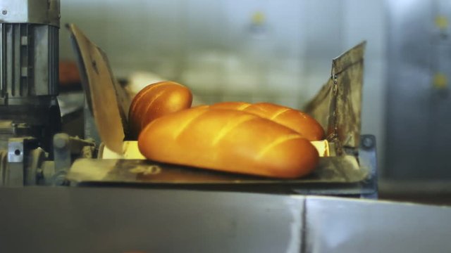 Loaf of bread on conveyor belt. Bread factory manufacturing line. Manufacturing process at food factory. Production line at bread plant. White bread loaf on factory conveyor belt