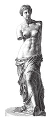 Fototapeta na wymiar Aphrodite of Milos - Venus - vintage illustration