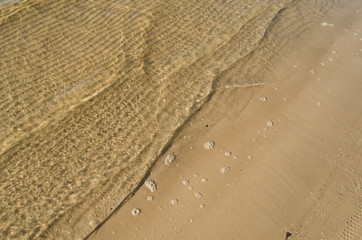  Fine light sand washed by sea water