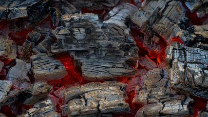 fire: burning wood and smoldering embers.