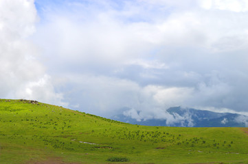 Panorama of a shiny colored mountain, Georgia