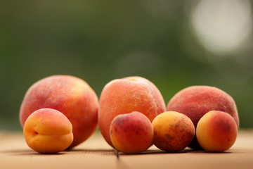 Peaches on the windowsill
