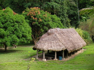 Fototapeta na wymiar Eco lodge in the rainforest.