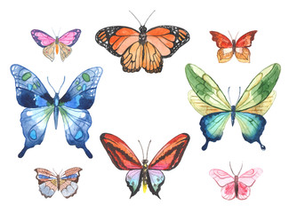 Plakat Watercolor butterflies illustration