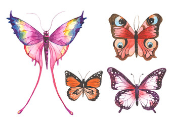 Obraz na płótnie Canvas Watercolor butterflies illustration