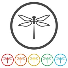 Dragonfly insect vector icons set illustration 