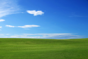 Landscape - green grass and blue sky with small clouds