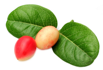 Koromcha or Carandas fruits