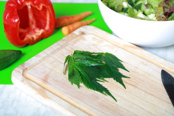 Fresh hemp leaves for salad preparation. The medical cannabis