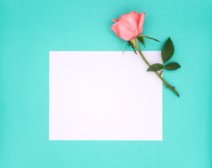 Top view image of white notepad paper for sample text and pink beautiful rose flower on green background, Pastel colors, Copy space