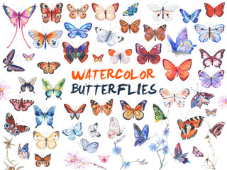 Watercolor butterflies illustration