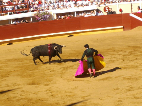 Corrida