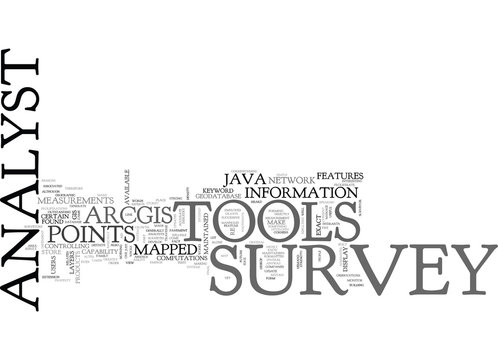 JAVA SURVEY ANALYST TOOLS Text Background Word Cloud Concept