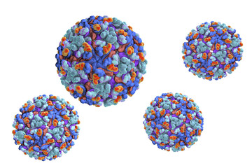 Barmah forest virus, 3D illustration. An RNA virus from Alphavirus genes, the second most prevent arbovirus in Australia, transmitted to human by mosquito bite