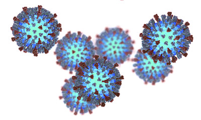 Measles viruses isolated on white background. 3D illustration showing structure of measles virus with surface glycoprotein spikes heamagglutinin-neuraminidase and fusion protein - obrazy, fototapety, plakaty