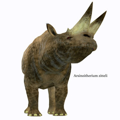 Naklejka premium Arsinoitherium Mammal on White with Font - Arsinoitherium was a herbivorous rhinoceros-like mammal that lived in Africa in the Early Oligocene Period.