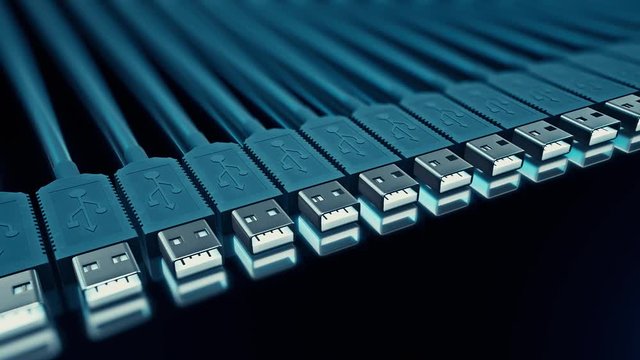 Linear array of usb type A cables on a reflective surface.