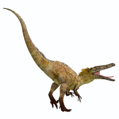 Fototapeta premium Austroraptor Dinosaur Tail - Austroraptor was a carnivorous theropod dinosaur that lived in Argentina in the Cretaceous Period.