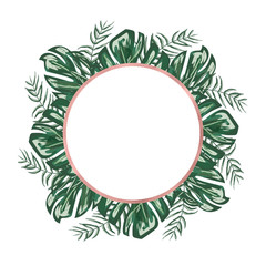 Tropical frame with monstera and palm leaves