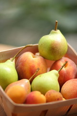 Pears and peaches in a wooden basket