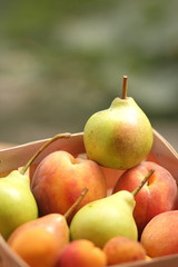 Pears and peaches in a wooden basket
