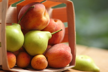 Pears and peaches in a wooden basket
