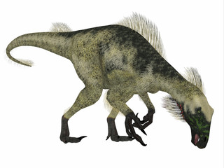 Beipiaosaurus Dinosaur Side Profile - Beipiaosaurus was a herbivorous theropod dinosaur that lived in China in the Cretaceous Period.