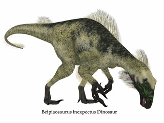 Beipiaosaurus Dinosaur Side Profile with Font - Beipiaosaurus was a herbivorous theropod dinosaur that lived in China in the Cretaceous Period.
