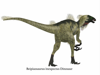 Beipiaosaurus Dinosaur Tail with Font - Beipiaosaurus was a herbivorous theropod dinosaur that lived in China in the Cretaceous Period.