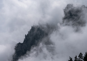 jagged mountain ridge peeking through the fog and mist with tree tops in the foreground