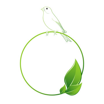 Floral background with bird. Element for design.