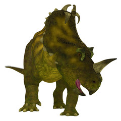 Naklejka premium Centrosaurus Dinosaur Neck Frills - Centrosaurus is a herbivorous Ceratopsian dinosaur that lived in Canada in the Cretaceous Period.