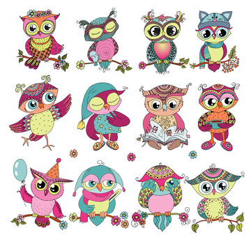 Set of 12 cute colorful cartoon owls