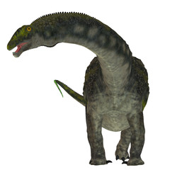 Diamantinasaurus Dinosaur on White - Diamantinasaurus was a herbivorous sauropod dinosaur that lived in Australia during the Cretaceous Period.