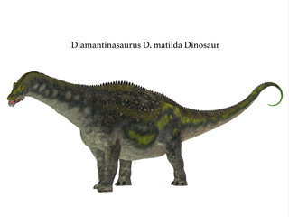 Diamantinasaurus Dinosaur Side Profile with Font - Diamantinasaurus was a herbivorous sauropod dinosaur that lived in Australia during the Cretaceous Period. © Catmando