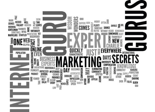 IS THERE A GURU IN THE HOUSE Text Background Word Cloud Concept