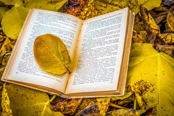 Old book in autumn leaves